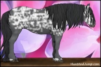 Horse Color:Black Ice 