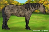Horse Color:Brown Ice Dun