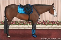 Horse Color:Bay Splash Frame 