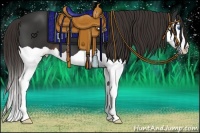Horse Color:Liver Chestnut Splash 