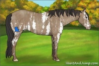 Horse Color:White Spotted Classic Champagne Brindle