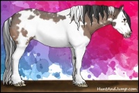 Horse Color:White Spotted Buckskin Roan Splash Frame 