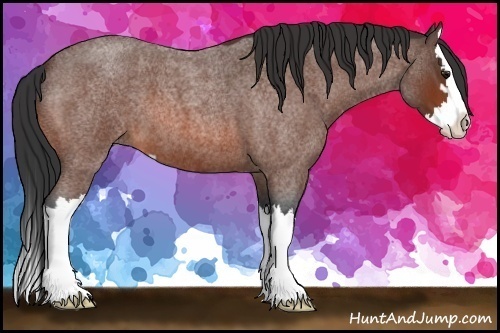 Horse Color:Bay Roan Sabino Splash 