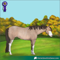 Horse Color:Sable Champagne Roan Sabino Rabicano
