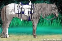 Horse Color:Liver Chestnut Appaloosa