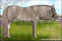 Horse Color:Chocolate Palomino Ice 