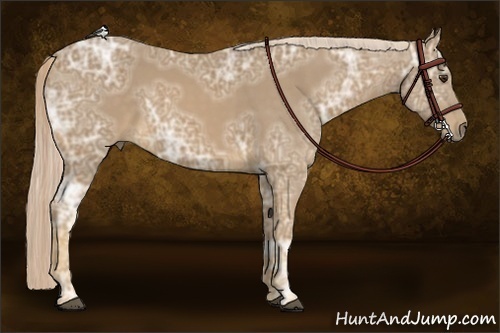 Horse Color:Palomino Ice 