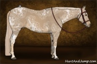 Horse Color:Palomino Ice 