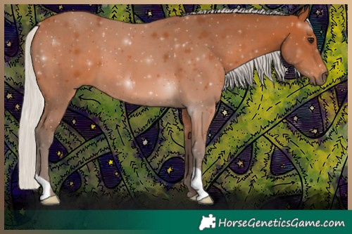 Horse Color:Silver Brown 