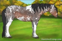 Horse Color:White Spotted Brown Ice Tobiano