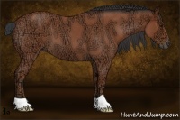 Horse Color:Bay Ice Roan 