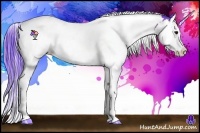 Horse Color:Watercolor Bay Splash Tobiano