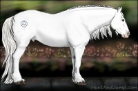 Horse Color:Liver Red Roan Mushroom Snowflake Varnish