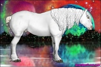 Horse Color:Liver Chestnut Pearl Appaloosa 