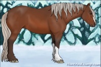 Horse Color:Silver Bay 