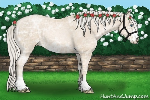 Horse Color:Palomino Ice Pearl Sabino 