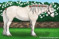 Horse Color:Palomino Ice Pearl Sabino