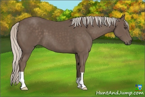 Horse Color:Silver Black 