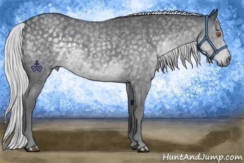 Horse Color:Silver Blue Chinchilla Roan 