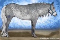 Horse Color:Silver Blue Chinchilla Roan 