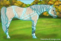 Horse Color:Thunderstruck Silver Bay Roan Dun 