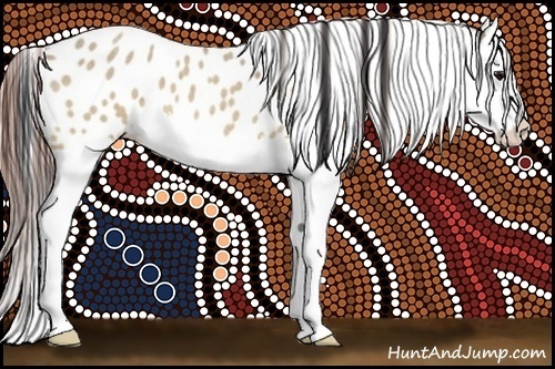 Horse Color:Bay Roan Dun Splash Leopard 