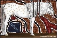 Horse Color:Bay Roan Dun Splash Leopard 