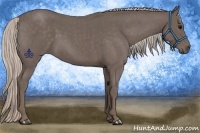 Horse Color:Silver Blue Roan 