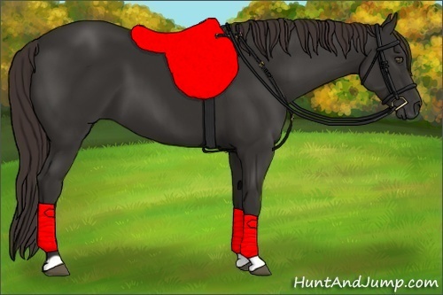 Horse Color:Liver Chestnut Frame 