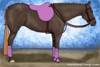 Horse Color:Liver Chestnut Frame