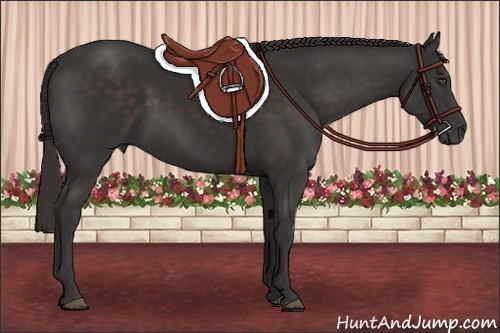 Horse Color:Liver Chestnut Frame 