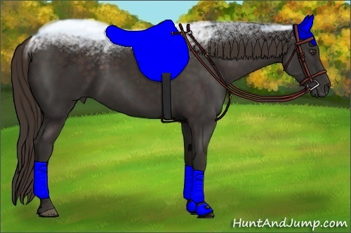 Horse Color:Liver Chestnut Frame