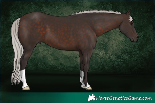 Horse Color:Silver Brown 