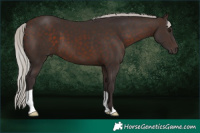 Horse Color:Silver Brown 