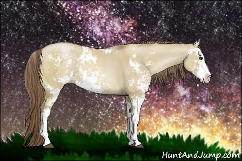 Horse Color:Grullo Pearl Sabino 