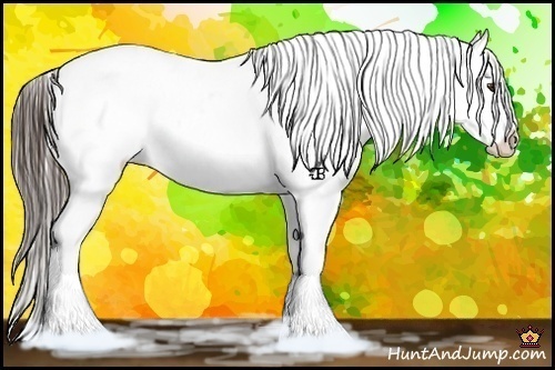 Horse Color:Liver Red Roan Splash Appaloosa 