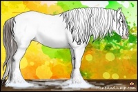 Horse Color:Liver Red Roan Splash Varnish