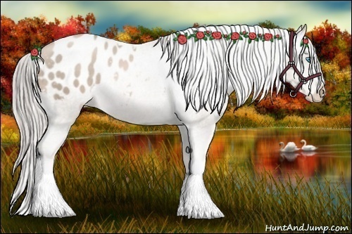 Horse Color:Chocolate Palomino Pearl Appaloosa Rabicano