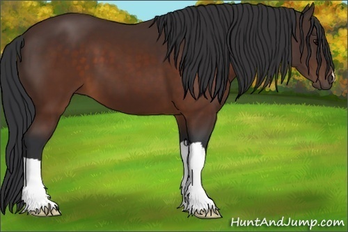 Horse Color:Brown 