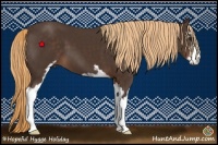 Horse Color:Liver Chestnut Sabino 