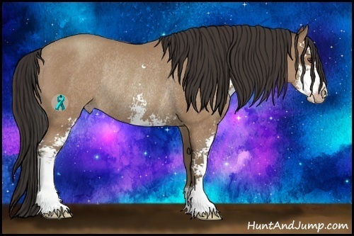 Horse Color:Classic Champagne Sabino Rabicano 