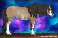 Horse Color:Classic Champagne Sabino Rabicano 