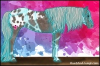 Horse Color:Thunderstruck Silver Black Appaloosa