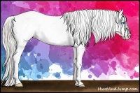 Horse Color:Silver Black Splash Frame Appaloosa 