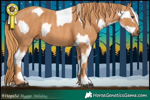 Horse Color:Red Dun Appaloosa  Brindle