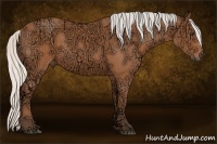 Horse Color:Silver Bay Ice 
