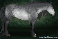 Horse Color:Brown Chinchilla