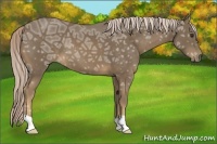 Horse Color:Chocolate Palomino Ice 