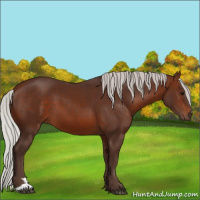 Horse Color:Silver Bay 