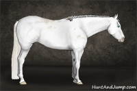 Horse Color:Smoky Creme Sabino Splash Rabicano 